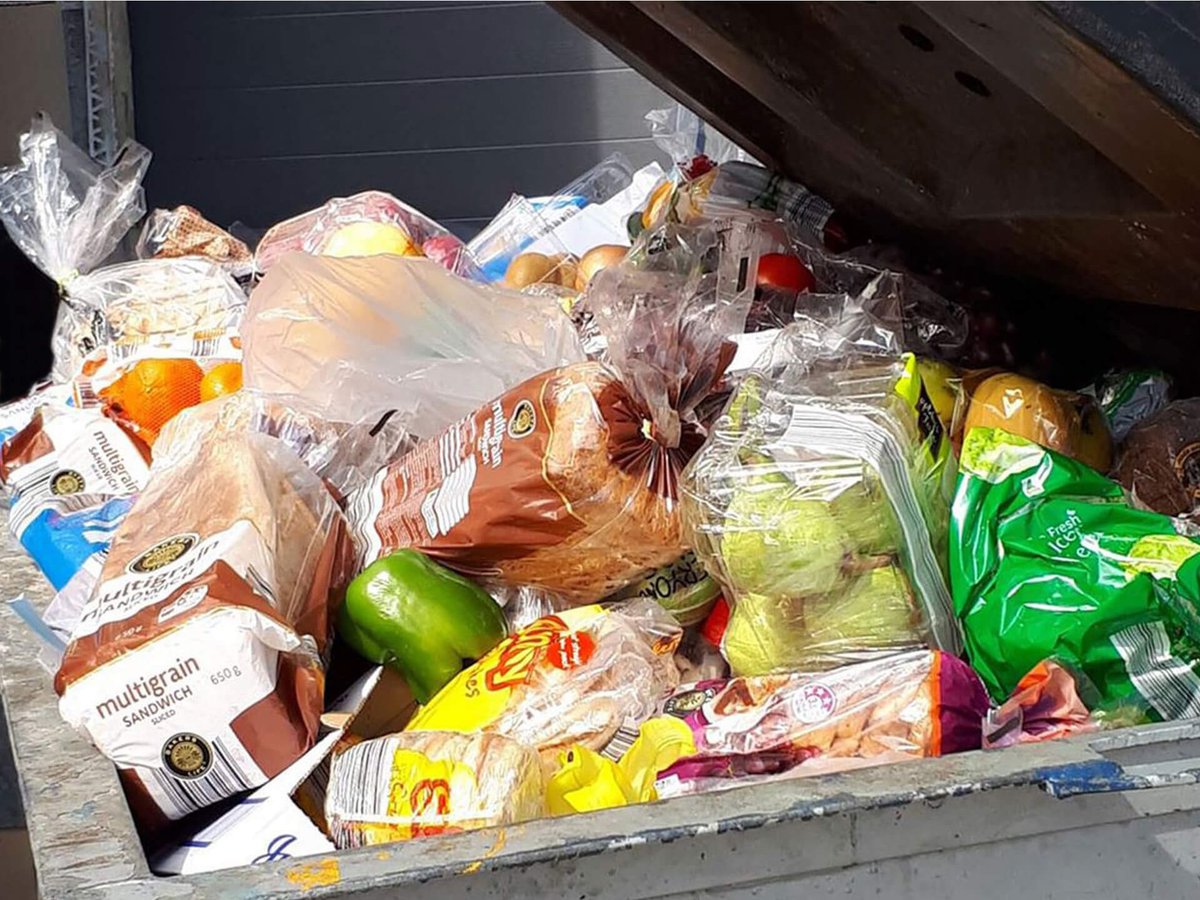 a dumpster bin of thrown out food from a grocery store