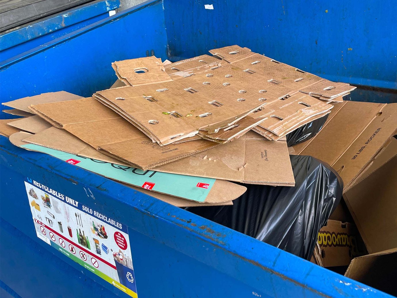 Cardboard recycling dumpster contaminated with a black garbage bag