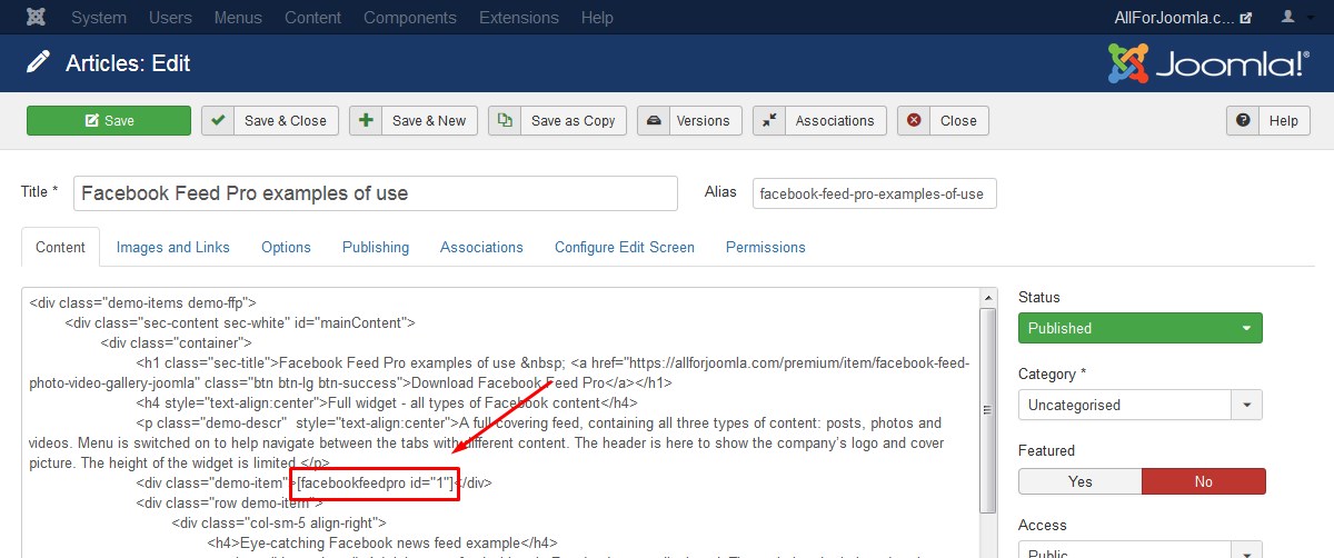 Paste Facebook widget shortcode into any page or module