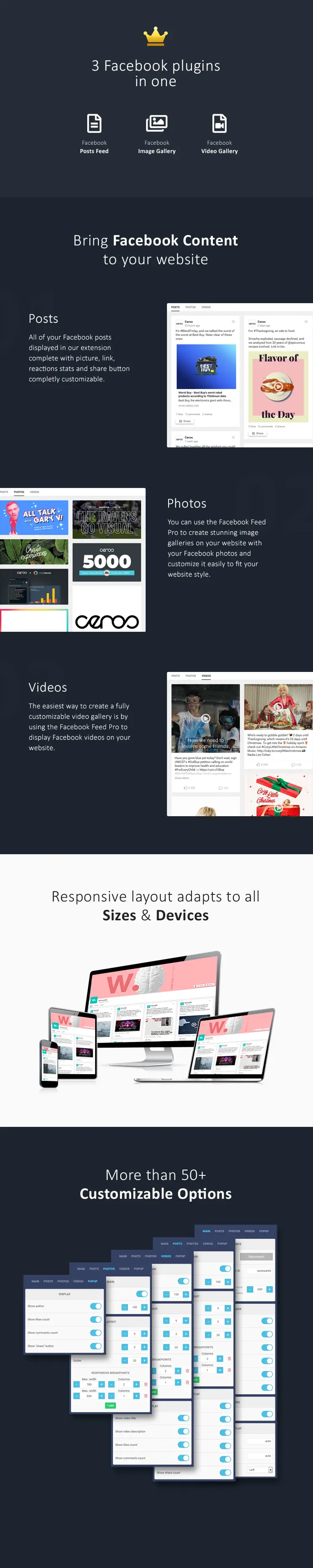 Facebook Feed Pro - Thee best Facebook feed, photo and video gallery for Joomla